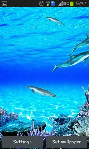 Dolphins Sounds Livewallpaper For Android