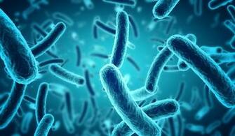 Microscopic Blue Bacteria Background Humanitas University