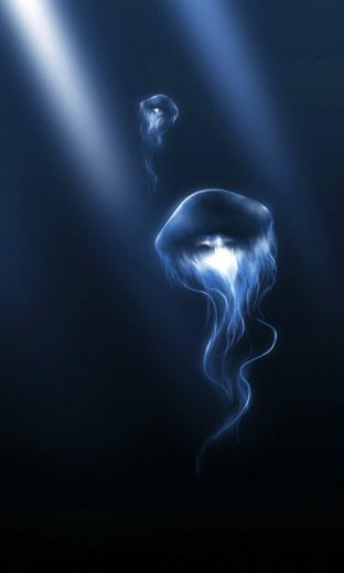 Jellyfish HD Wallpaper Live For Android