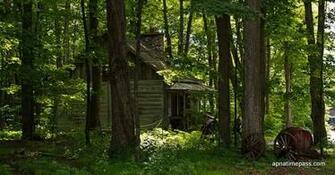 The Cabin In Woods Movie Wallpaper Photos Stills Pics