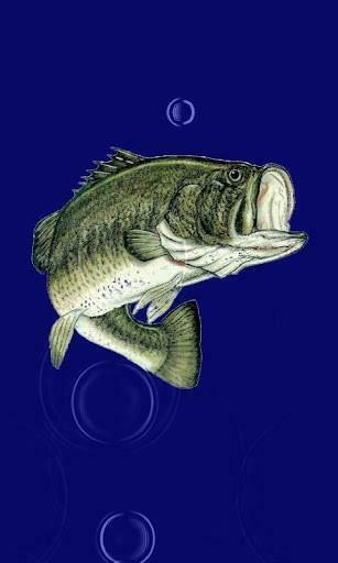 Bass Wallpaper App For Android