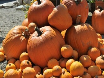HD Pumpkins Wallpaper And Background