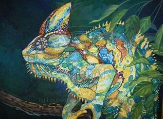 Veiled Chameleon Wallpaper