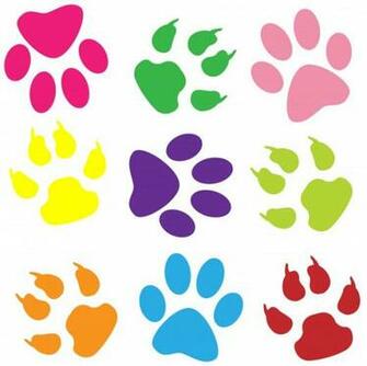Paw Prints Colorful Background Stock Photo Public Domain
