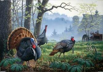 Nwtf Wallpaper On