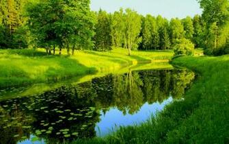Nature Trees River Reflection X