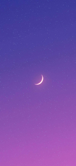 Captivating Purple Phone Wallpaper