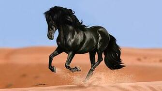 American Quarter Horse Wallpaper Desktop