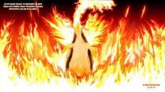 Typhlosion By Snoopbear