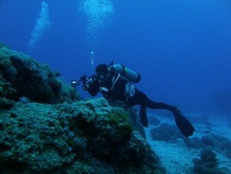 Scuba Diving Wallpaper