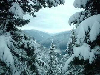 Hiver Snowscape Wallpaper