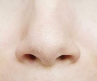 Nothing Nosy About It Facts Your Sniffe