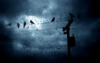 Romantic Rain Wallpaper