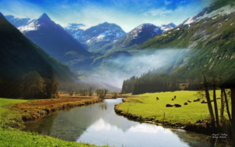 Nature Background