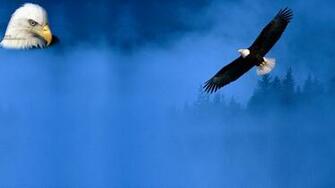 My Background Eagle Background
