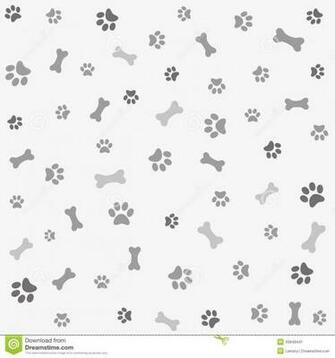 Dog Print Paper Background With Paw And Bone Stock