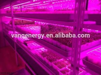 Image Led Plant Grow Lights Pc Android iPhone And iPad Wallpaper