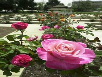 Desktop Wallpaper Flowers Gardens Background Rose Garden