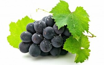 Grapes Wallpaper