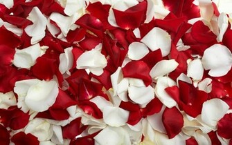 To Wallpaper Just Right Click On Pictures And Select Save