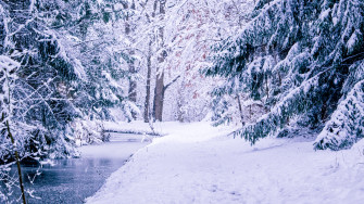 March Winter Wonderland Xii 4k Wallpaper By