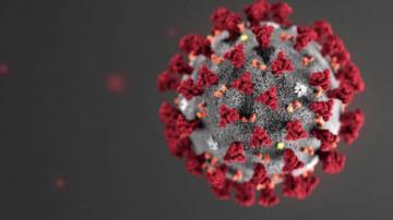 2nd Covid Patient Identified In Indiana