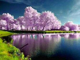 Spring Nature Wallpaper High Resolution