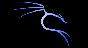 Unlock The Power Of Kali Linux Wallpaper