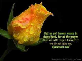 Christian Wallpaper Bible Verse Galatians