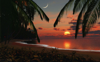 Tropical Paradise Sunset Wallpaper