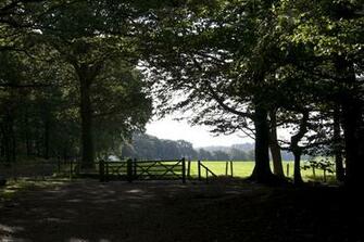 Stock Photo English Countryside Imagelive