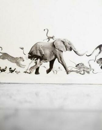 Just Kids Wallpaper Hand Drawn Animal Border