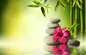 Wallpaper Flower Water Stones Bamboo Orchid