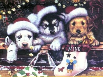 Christmas Candles Desktop Background Funny Pictures Cool