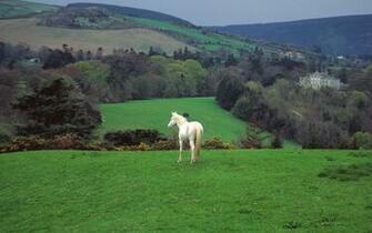 Countryside Castle Horses Wallpaper Desktop