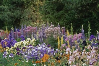 Wonderful Flower Garden Cool Wallpaper