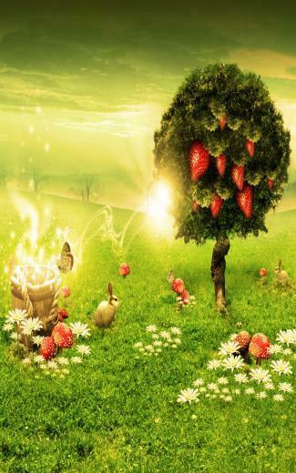 Kindle Fire HD Wallpaper Ppt Garden