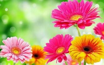 3d Spring Flower Screenshot