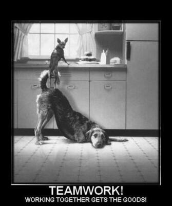 Wallpaper Best Teamwork Funny