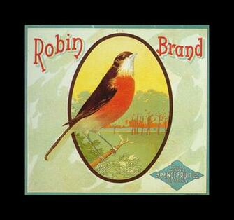 Robin Brand Oranges Vintage Fruit Crate Labels Wallpaper Image