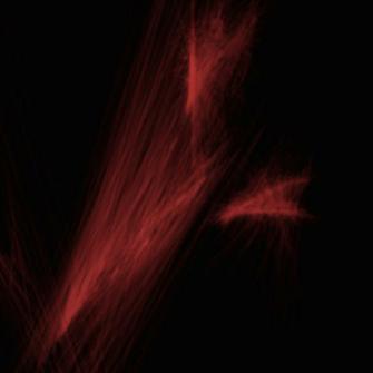 Blood Splatter Black Wallpaper Spatter By