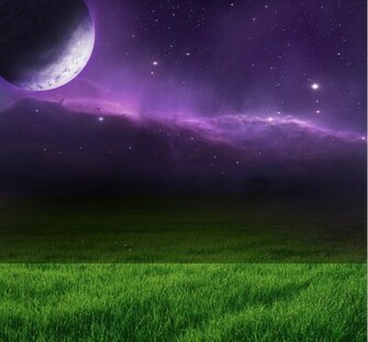 Horse In The Night Background Part