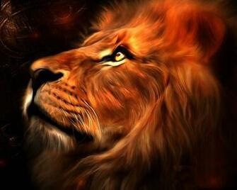 3d Lion Abstract HD Wallpaper Photo
