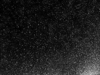 Snow Storm Wallpaper