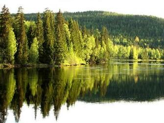Fabulous Nature Desktop Wallpaper In HD