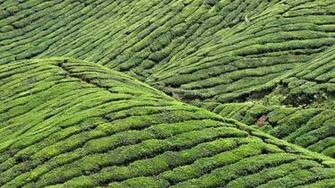 Best Nature Wallpaper 1080p