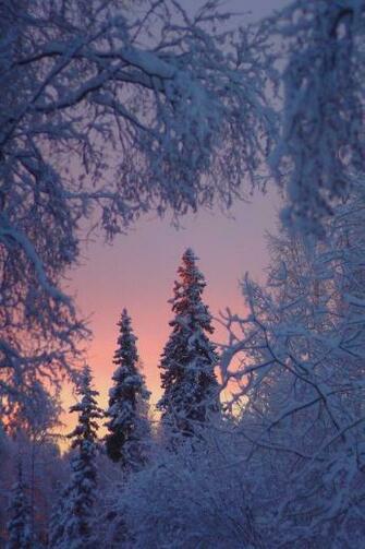 Background Beautiful Winter Sunrises Paisaje Invernal