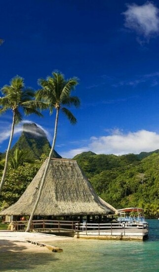 Tropical Jootix Wallpaper