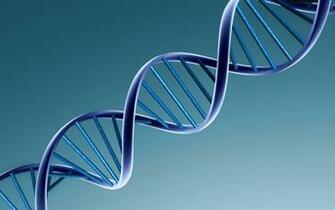 Dna Wallpaper High Resolution Wesharepics
