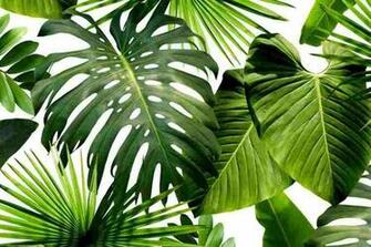 Color Of The Year Greenery Furniture Lighting Decor